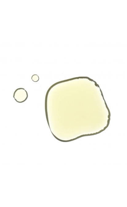 AHAVA YOUTH BOOSTERS CRYSTAL OSMOTER™ X6 VEIDO SERUMAS, 30 ML